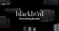 Blackbird Everything Bundle